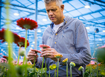 OUR GROWER FRESHLY CUTS